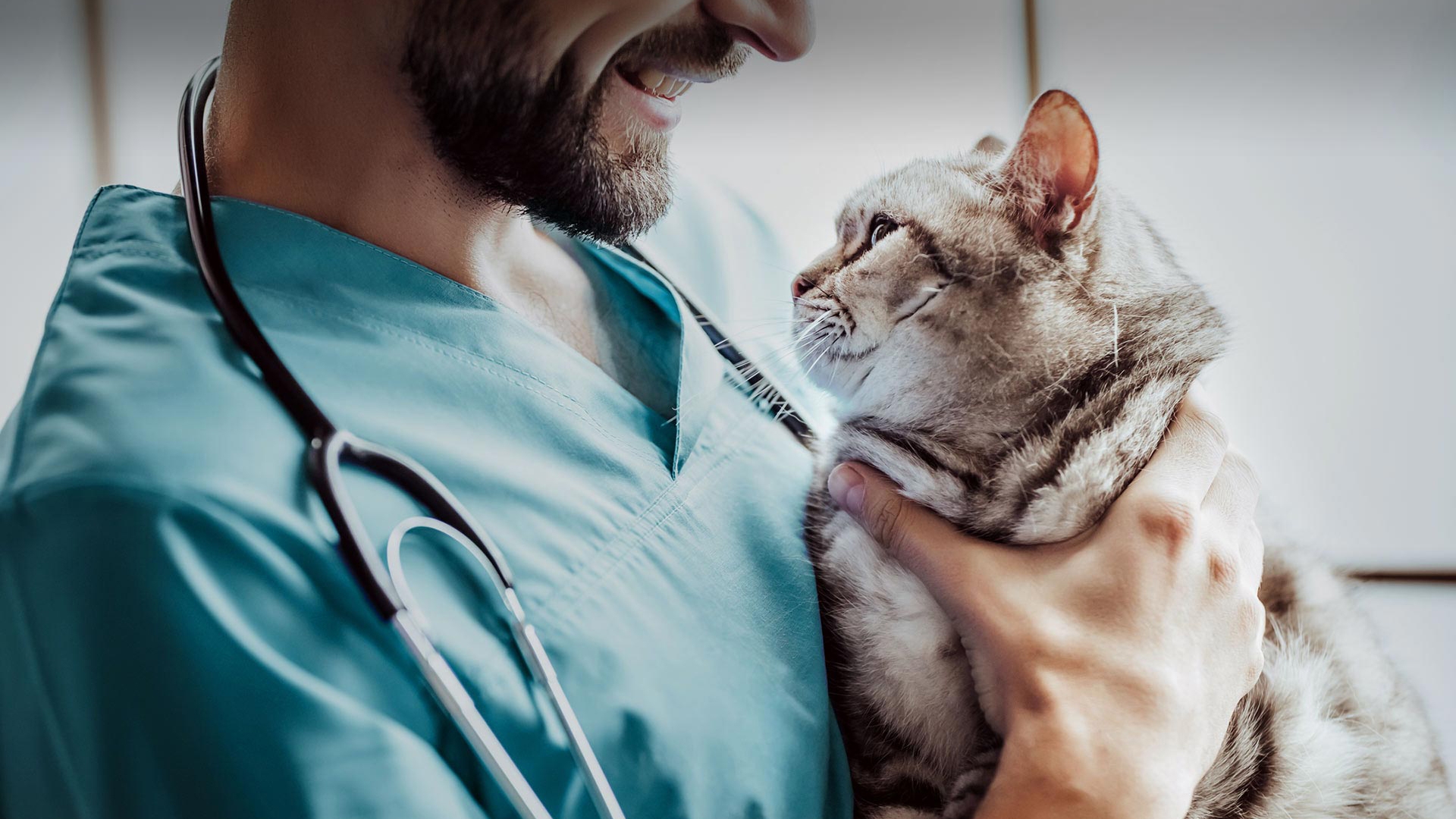 Çayırova Veteriner